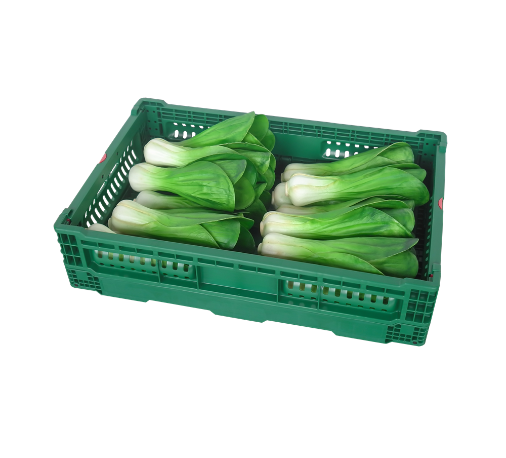 全运 网状可折叠pp材质果蔬篮 KN604014W-HS