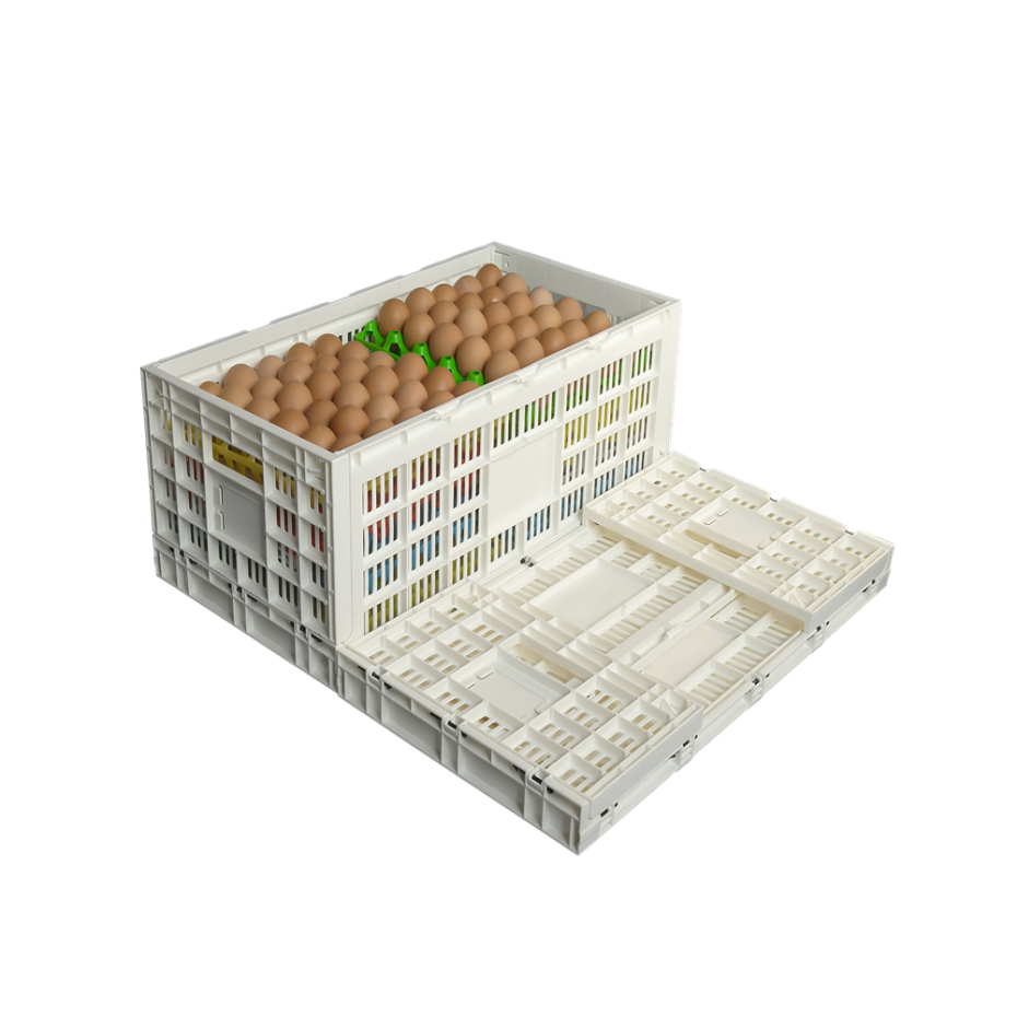 全运 网格设计PP塑料蛋篮储存板条箱 KN604014W-1