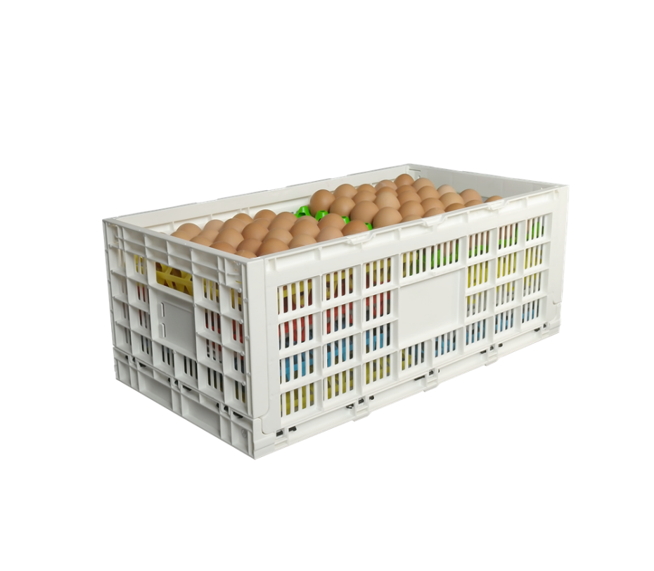 全运 网格设计PP塑料蛋篮储存板条箱 KN604014W-1