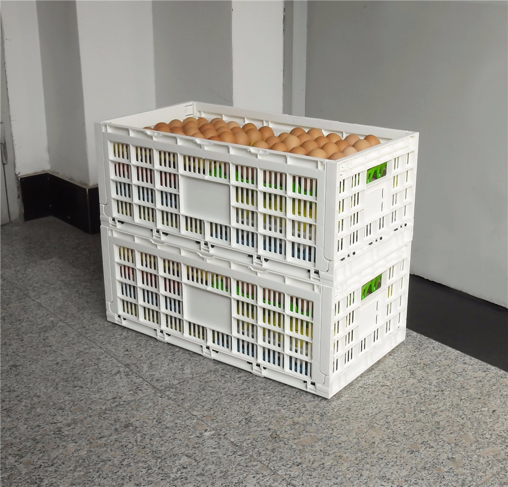 全运 网格设计PP塑料蛋篮储存板条箱 KN604014W-1