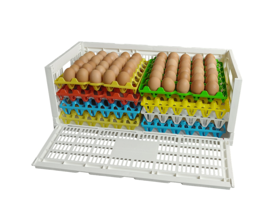 全运 网格设计PP塑料蛋篮储存板条箱 KN604014W-1
